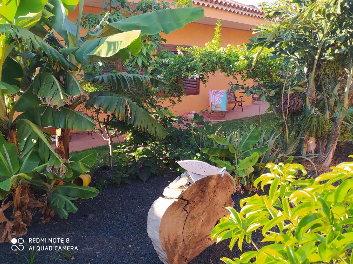 הוילה באיאמר Energy Garden מראה חיצוני תמונה