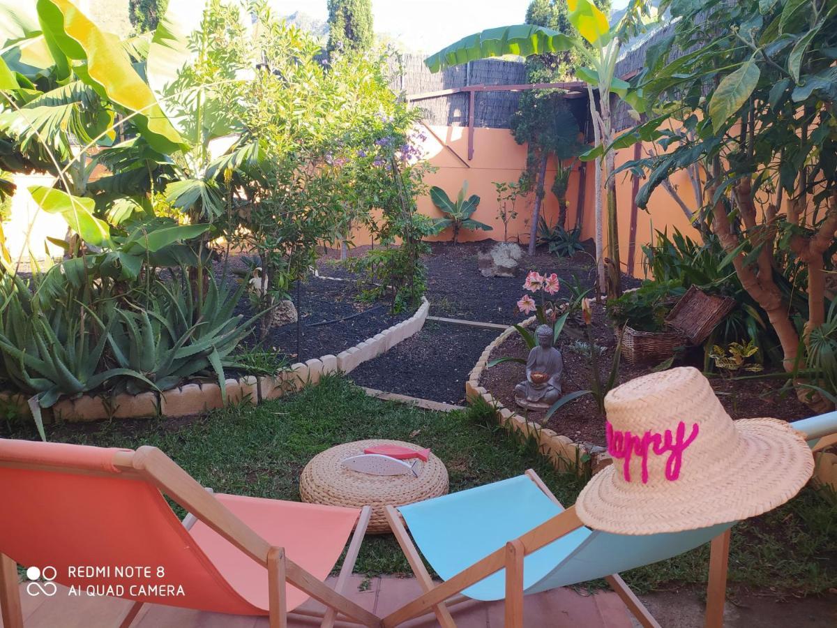 הוילה באיאמר Energy Garden מראה חיצוני תמונה